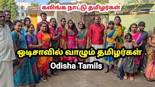 ஒடிசா தமிழர்களின் நிலை ଓଡିଶା ତାମିଲ୍ସର ଜୀବନ Odisha Tamils lifestyle ओडिशा तमिल क्षेत्र [upl. by Eldreeda238]