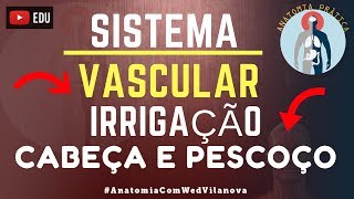 Artéria Carótida Externa Irrigação  Cabeça e Pescoço  Sistema Vascular  Anatomia Prática [upl. by Acilgna]