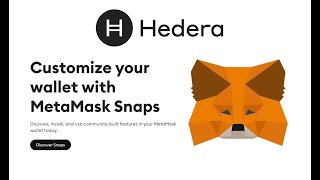 Build with Hedera Wallet Snap [upl. by Kimmel]