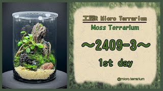 Moss Terrarium ～24093～ Long Ver コケリウム terrarium 苔テラリウム 苔 moss [upl. by Umberto125]