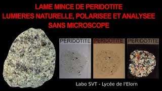 Péridotite observée en LPnA vs LPA sans microscope polarisant SVT Hervé Kempf [upl. by Janik788]