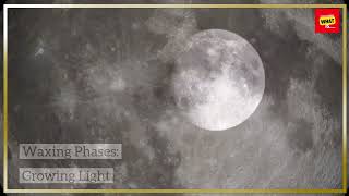 What Are the Phases of the Moon and Why Do They Change [upl. by Abraham]