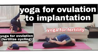 yoga for ovulation to implantation 19 yogasan to improve fertility yogasanforconceive [upl. by Rabkin233]