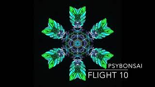 Progressive Psytrance Mix October 2018 HDFlight 10 [upl. by Lallage]