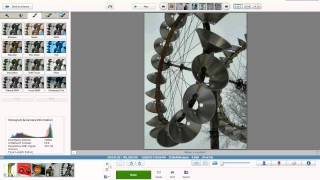 Introduction to Google Picasa [upl. by Olvan]