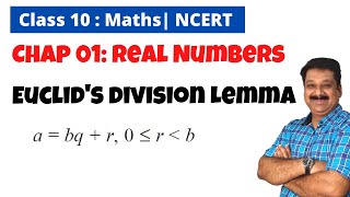 Real Numbers 01 Euclids Division Lemma NCERT Class 10 Maths Chapter 1 Real Numbers [upl. by Dahsar]