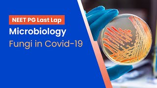 NEETPG Prep  Microbiology  Fungi in Covid19 by Dr Meenakshi Sundaram [upl. by Esidnac]