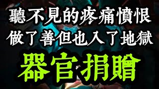 【器官捐贈】一個沒人告訴你的靈魂祕密？謹慎決定：勿行了善，但也墮入三途！汪建民 [upl. by Taylor959]