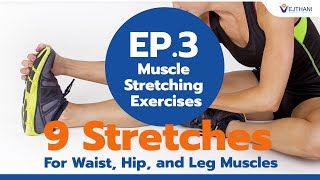 EP3  Muscle Stretching Exercises  9 Stretches for Waist Hip and Leg Muscles [upl. by Garling]