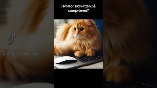 Hvorfor sad katten på computeren joke funny sjovt sjov comedy sjoveklip humor sjove [upl. by Sirmons862]