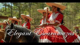 Escaramuzas The Elegant Tradition of the Mexican Charrería amp Charreada [upl. by Roxine]