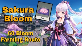 Sakura Bloom Fast and Efficient Farming Route【Genshin Impact】 [upl. by Denten86]