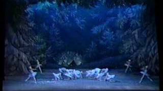 Waltz of the Snowflakes from The Nutcracker Mariinsky [upl. by Costanzia284]