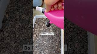 I need the When to Water Seeds 101 handbook 📙💦 short youtubeshorts newgardener [upl. by Saba]