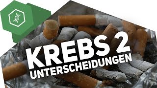 Gutartige und bösartige Tumore – Unterschied – Krebs 2 [upl. by Phedra]