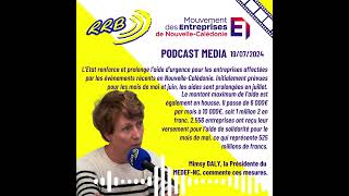 20240719 RRB  Le MedefNC commente le renforcement des mesures Etat aux entreprises calédoniennes [upl. by Ayardna]