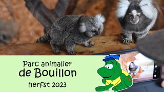 Parc animalier de Bouillon herfst 2023 [upl. by Elbon]