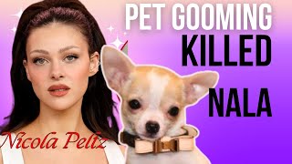 Nicola PeltzBeckham suing NY groomer over dog’s death  show me dogs  dogs  petsandanimals [upl. by Enar]