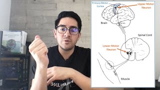 Fisiología de la contracción muscular [upl. by Sina]