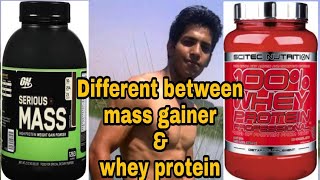 Mass gainer Vs whey protein  which is better [upl. by Nnylimaj]