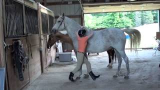 How to Mount a Horse Bareback [upl. by Ogawa]