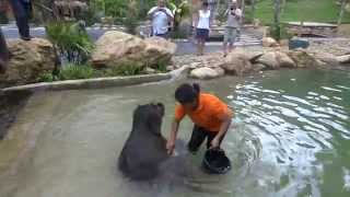 Bathing with the cute Baby Elephant of Khao Lak [upl. by Gannie]