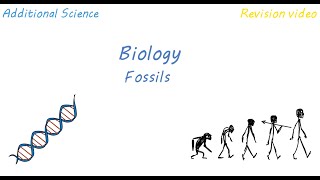 B2 Fossils Revision [upl. by Akiehsat611]