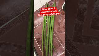 Horseradish fruit amp bitter gourd Please subscribe to my channel tnx a lot nocopyrightmusic [upl. by Nealah]