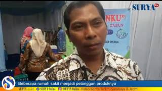 ALBUMIN IKAN GABUS DARI BLITAR PENUHI KEBUTUHAN BANYAK RUMAH SAKIT [upl. by Nola]