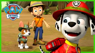 Jungle Pups Rescues with Tracker and MORE  PAW Patrol  Cartoons for Kids [upl. by Anwahsal]