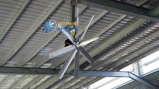 50quot Ventilation Fan Propeller Air Flow Testing [upl. by Matuag109]