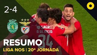 Sporting 24 Benfica  Resumo  SPORT TV [upl. by Yhtak294]