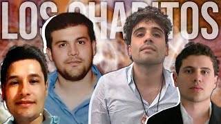 Los Chapitos  Sinaloa Drug Cartel  El Chapo amp Sons  2024 Update [upl. by Ettigirb]