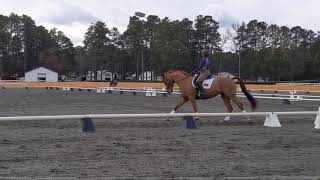 Pinehurst dressage 2nd 1 [upl. by Yelekreb]