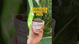 How to make terracotta pots look used and old 🏺 [upl. by Drofnas149]