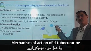 Mechanism of action of dtubocurarine آلية عمل دواء توبوكورارين [upl. by Betthezul]