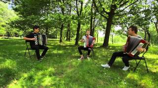 Yann Tiersen  Jy Suis Jamais Alle  Crazy Accordion Trio cover [upl. by Einnahpets]