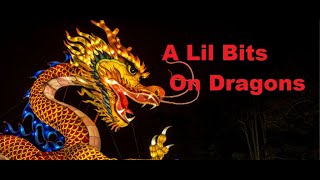 A Lil Bits on Dragons [upl. by Anirba]