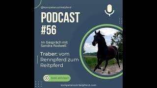 56 Traber Vom Rennpferd zum Reitpferd [upl. by Hannavas]