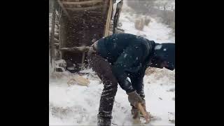 Caught in a Blizzard While Building Shelter snowstorm winter camping bushcraft survival [upl. by Hett]