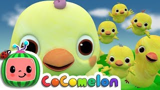 Five Little Birds 2  CoComelon Nursery Rhymes amp Kids Songs [upl. by Anasor541]