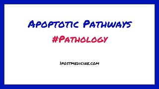 Apoptotic Pathways  Pathology [upl. by Alfonso]