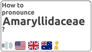 How to pronounce Amaryllidaceae in english [upl. by Jeremias868]