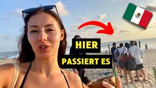 Hundebabys retten in Mexico 🥺🇲🇽 Vlog Jamie Roseanne [upl. by Schou]