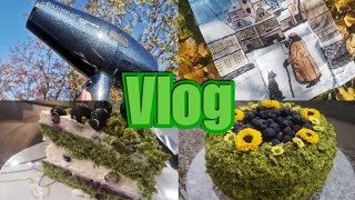 VLOG  Mechový dort MasterChef a můj nový fén [upl. by Orna972]