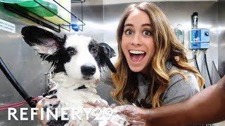 I Learned How To Be A Professional Dog Groomer  Lucie For Hire  Refinery29 [upl. by Tobie]