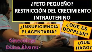 PROBLEMAS DE CRECIMIENTO FETAL POR GINECOLOGA DIANA ALVAREZ [upl. by Garwin877]