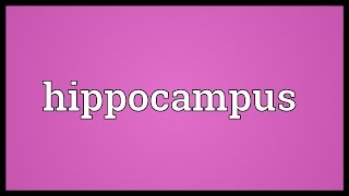 Hippocampus Meaning [upl. by Yssim898]