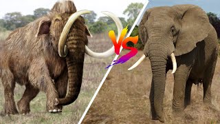 Woolly Mammoth VS Elephant [upl. by Garlaand]