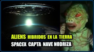 EXTRATERRESTRES SE Empeñan en crear Hibridos Impactante video Y SpaceX Capta NAVE NDRIZA en Espacio [upl. by Llerdna]